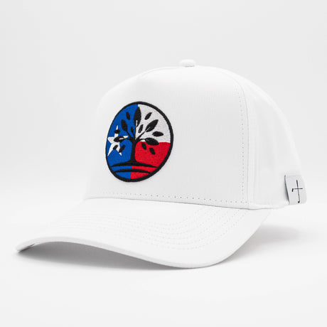 TEXAS Hat - "One State Under God"